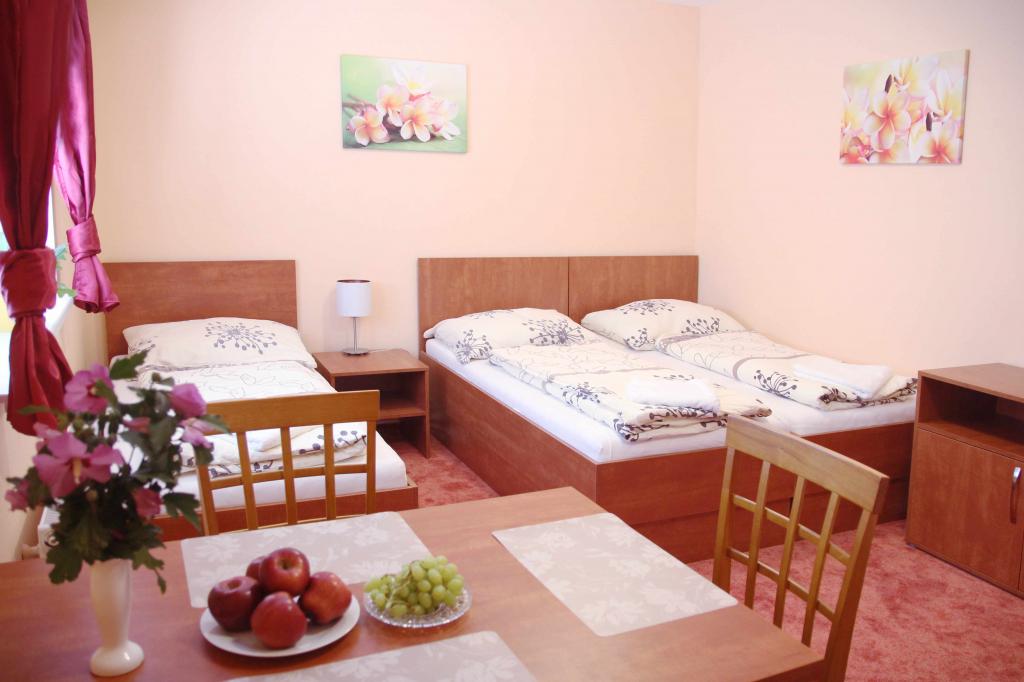 Komfortní apartmán s manželskou postelí